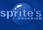 Sprite's Aquarium